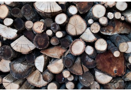 Principali tipologie e vantaggi del legno